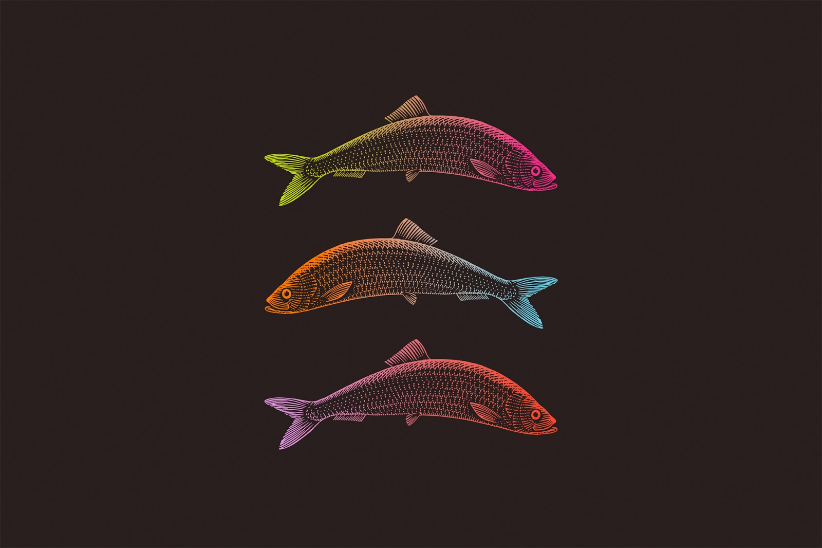 產(chǎn)品包裝設(shè)計(jì)